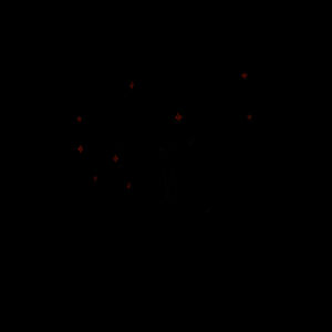 Hautapu - black on black - Womens Supply Crew Design