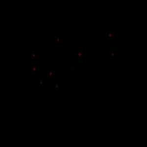 Hautapu - BLACK - AS Colour Mens Staple T shirt Design