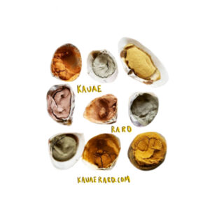 Ipu Angaanga - AS Colour Womens Martina Tank Design